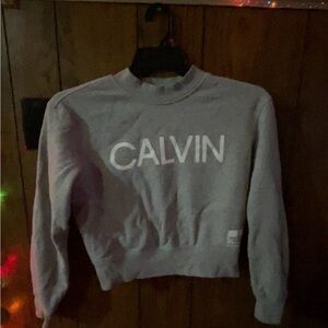 Calvin Klein Performance Gray Cropped Sweatshirt Logo Pullover